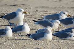 img-6761_orig