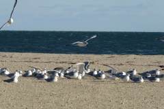 img-6772_orig