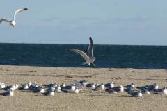 img-6773_orig