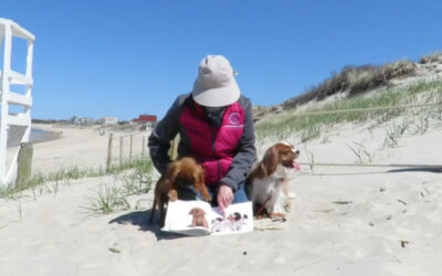 “Tail Waggin’ Tutors” storybook time with Judy Burke & her King Charles Cavalier Spaniels