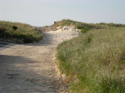 east-dennis-beach-4