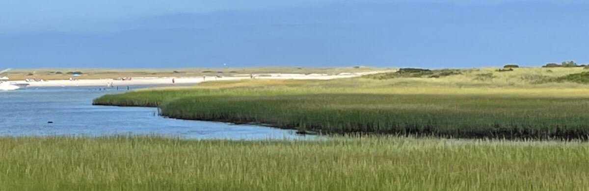 marsh-views-cape-cod-realtors